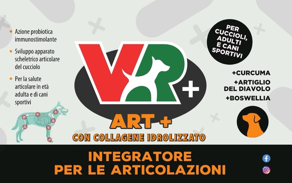 ART+ - Integratore per le articolazioni